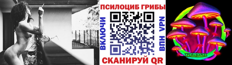 hydra ссылки  Кола  Псилоцибиновые грибы MAGIC MUSHROOMS 